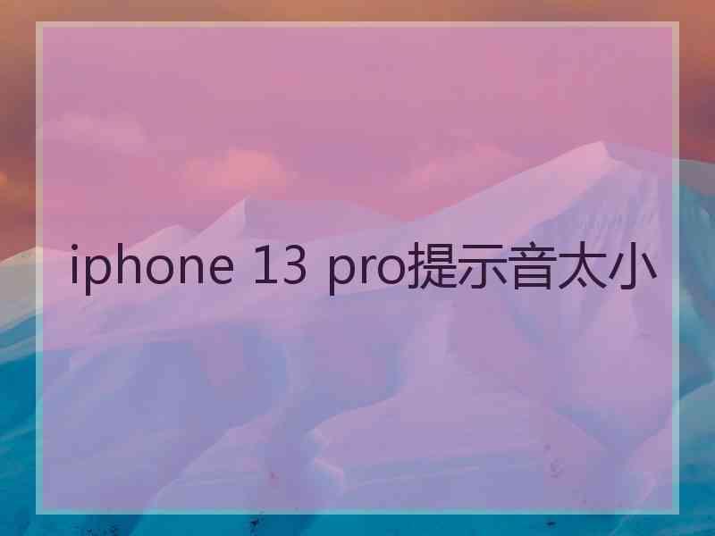 iphone 13 pro提示音太小